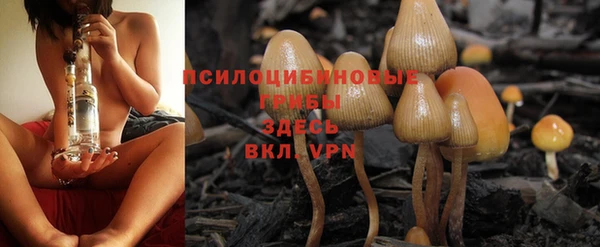 бутират Беломорск