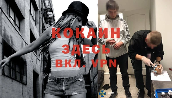 гашик Бородино