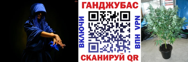 где можно купить наркотик  Верея  MEGA зеркало  Конопля планчик 